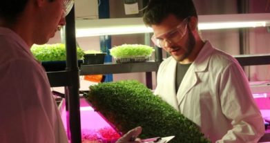 Cultivo en la ciudad: High Farm ofrece alimentos frescos, sanos y libres de agroquímicos