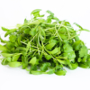 Micro cilantro - Caja 40 gramos